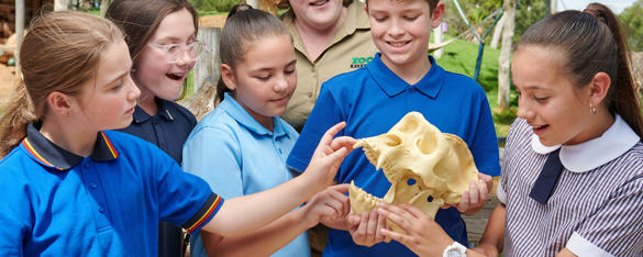 A group of students in blue school uniform hold a touch an animal skull