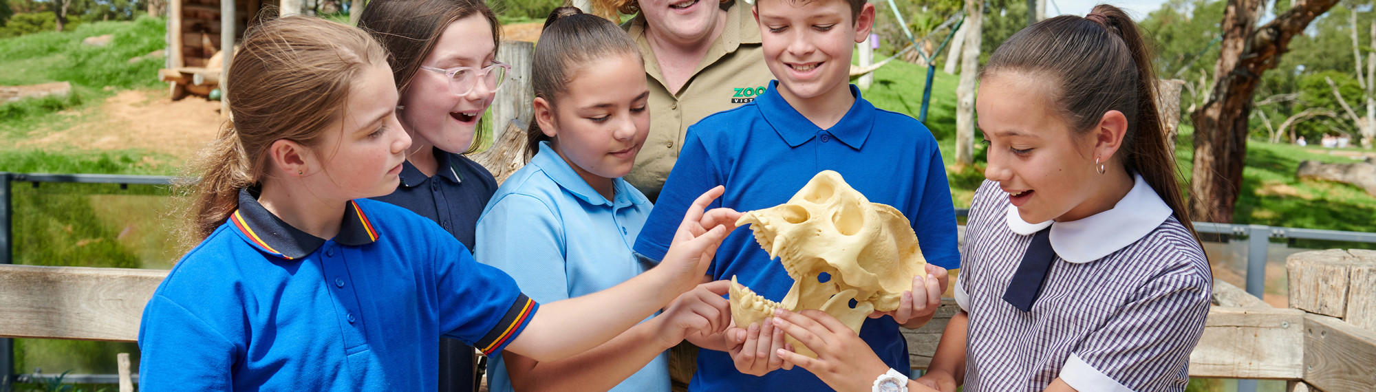 A group of students in blue school uniform hold a touch an animal skull