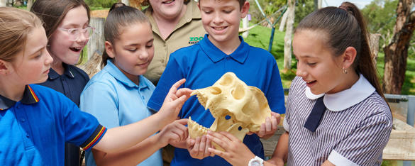 A group of students in blue school uniform handle an ape skull, joined by a ZV staff member behind them.