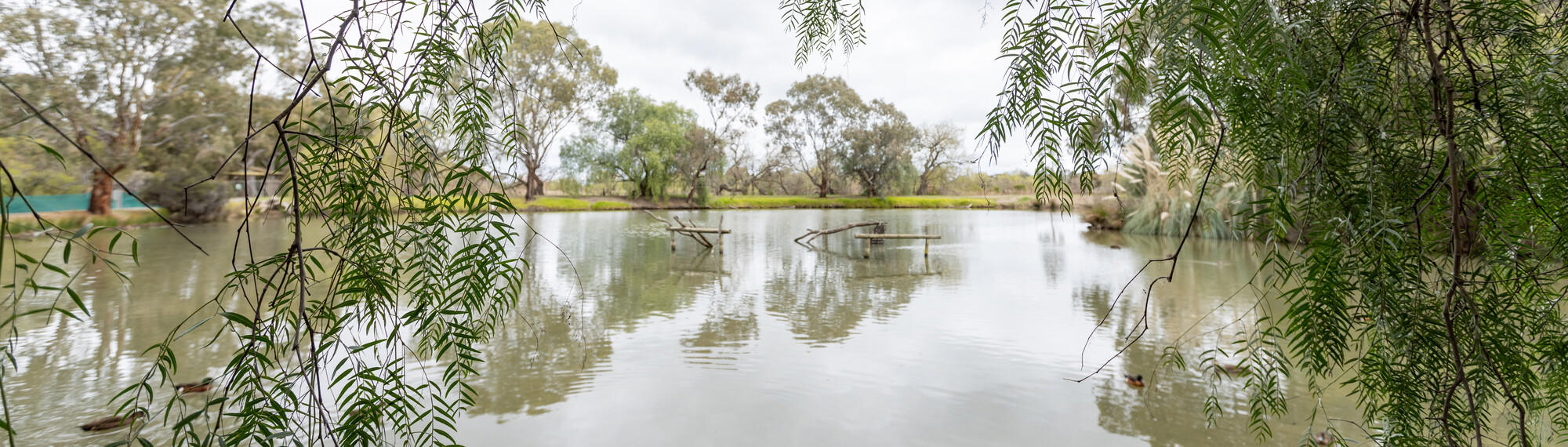 A wide-angle view of wetlands lined by trees at Kyabram Fauna Park