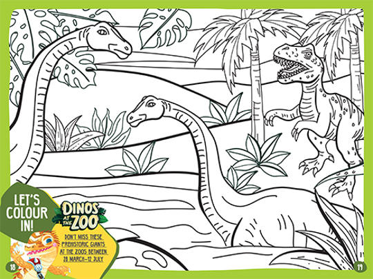 Image of dinosaurs in colouring in line