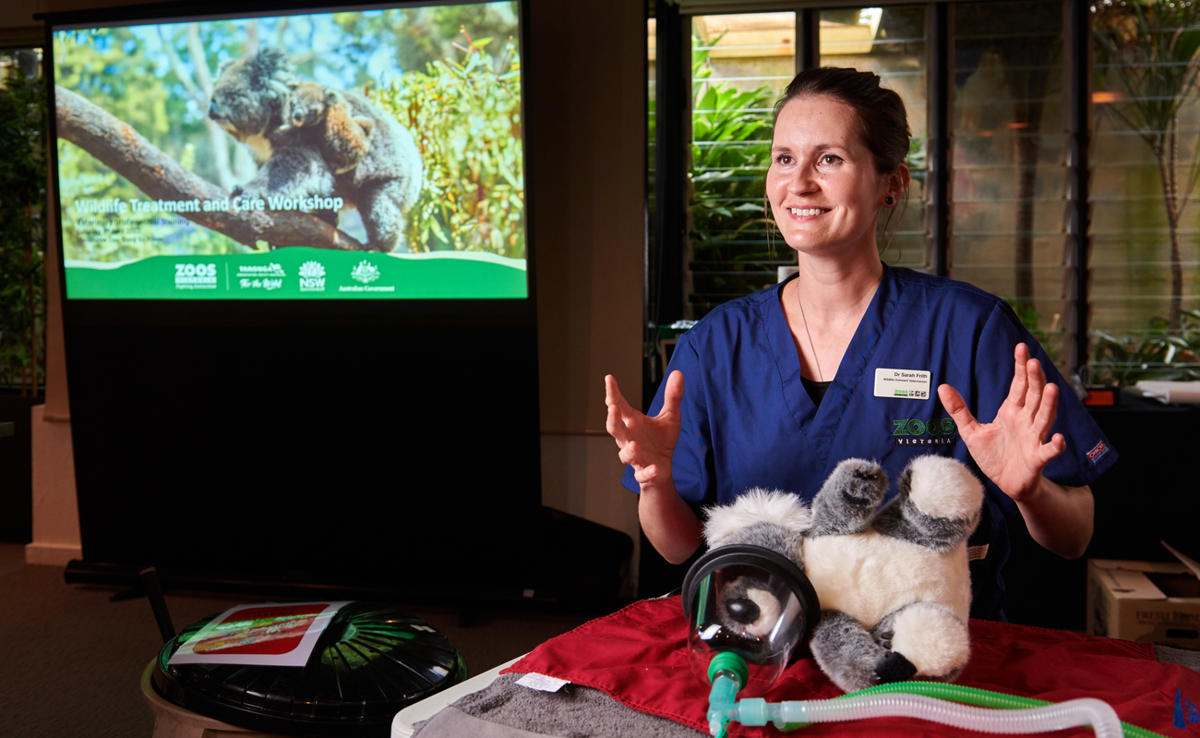 Dr Sarah Frith gives a presentation at a workshop using a toy koala as a patient.