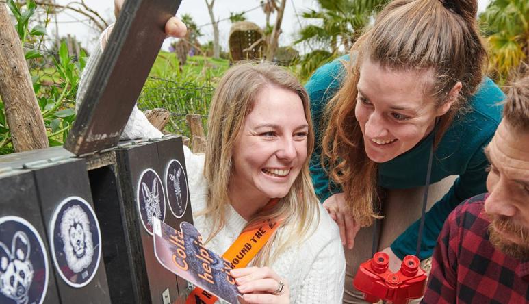 Two women laughing and a man participating in Race Around The Zoo retrieve clue cards from wooden boxes with animal faces painted on the front. 