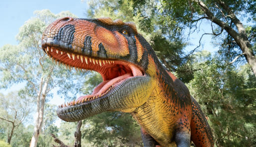 Giganotosaurus, seen from below.