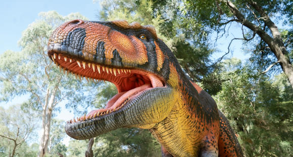 Giganotosaurus, seen from below.