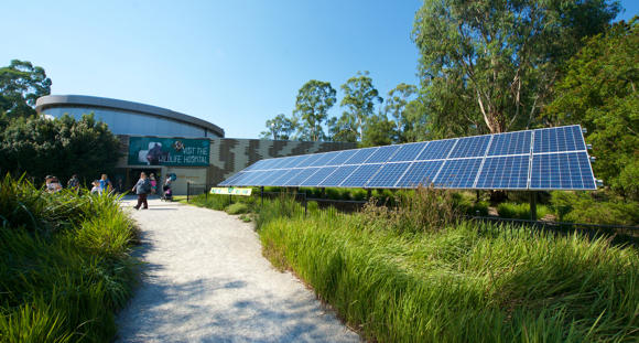 View of the Australian Wildlife Health Centre's main entrance and external solar panels.