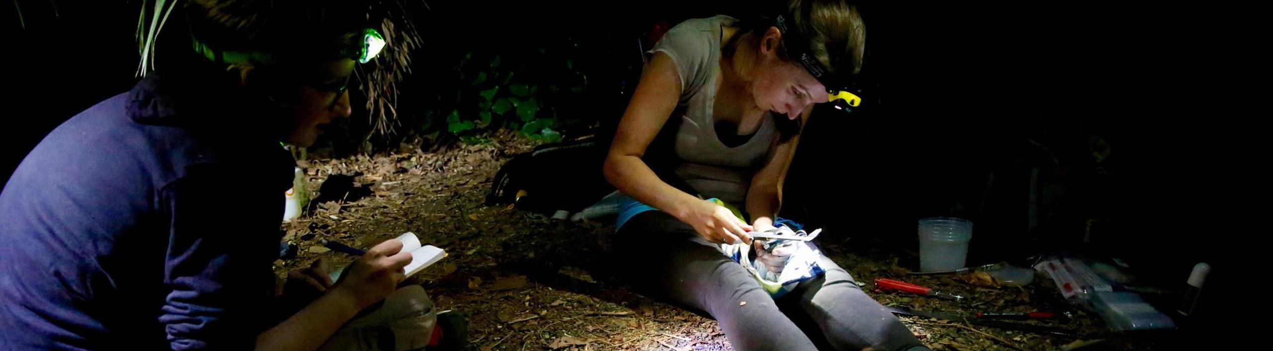 Two researchers wearing headlamps sitting on ground examining things at night time.