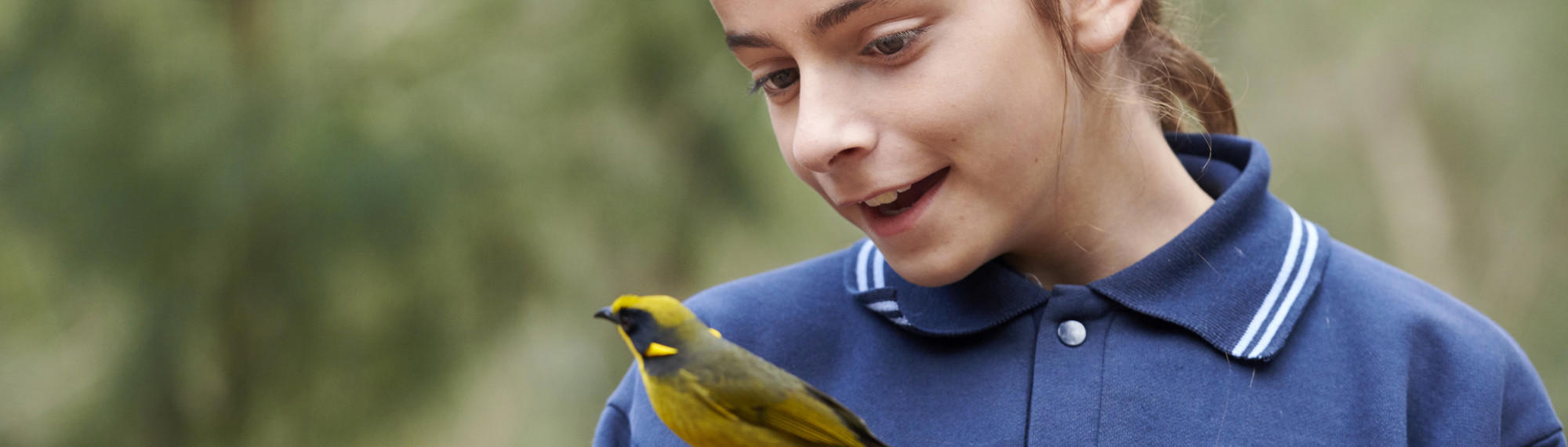 A student in uniform looks down at a Helmeted Honeyeater at Healesville Sanctuary, both facing left.