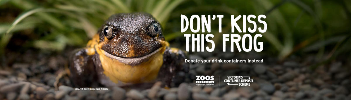 "Don't kiss this Frog, donate your drink containers instead" - This white text is to the right, a Giant Burrowing Frog facing the camera is to the left.