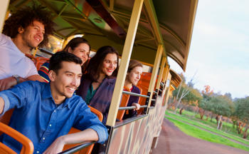 visitors on safari bus at sunset and looking at animals