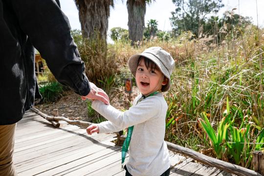 A young child in a hat is walking across a wooden boardwalk, smiling at the camera while holding an adult's hand