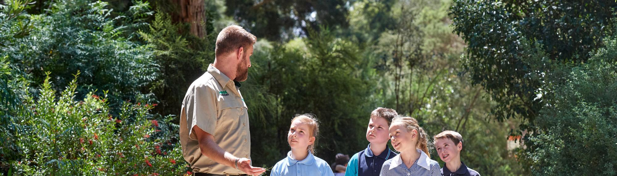 Zoo Keeper walks through the bush with four young students, his arm craned as he talks to them and they follow.