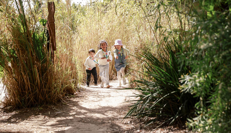 australia safari zoo