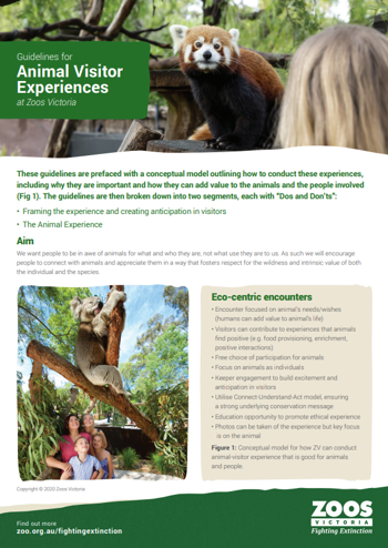 "Guidelines for Animal Visitor Experiences at Zoos Victoria" - featuring a Koala and Roshani, the Red Panda.