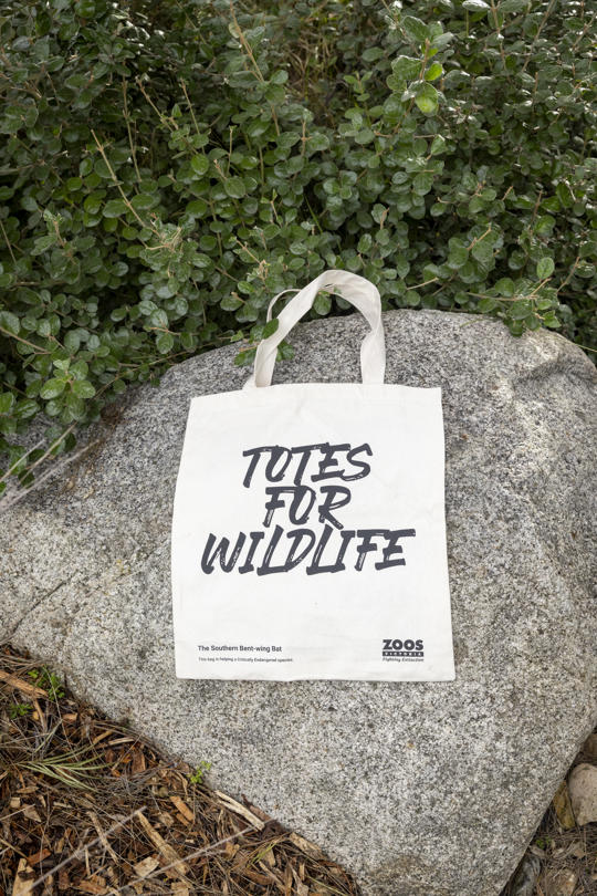 Totes for Wildlife, Southern Bent-wing Bat: Image of back design.