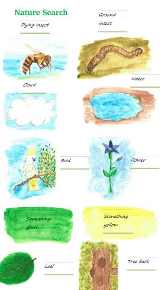 "Nature Search" - a picture matching game with ten drawings.
