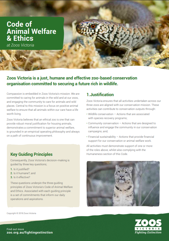 "Code of Animal Welfare and Ethics at Zoos Victoria" - featuring a Snow Leopard and Alpine She-oak Skink.