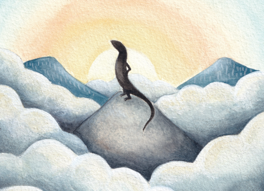 illustration of Slink, the Alpine She-oak Skink, standing silhouetted against a low sun on a mountain-top and facing left.