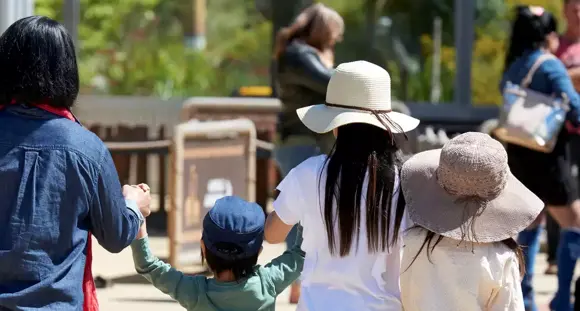 A family of four people holding hands, all facing away from the camera.