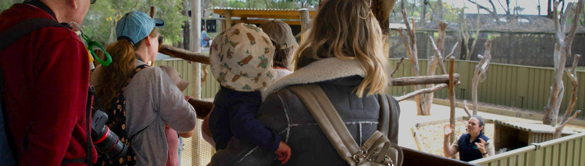Six visitors watching a Koala Keeper Talk.