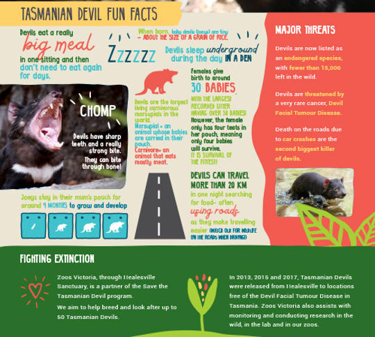 Tasmanian Devil fun facts.