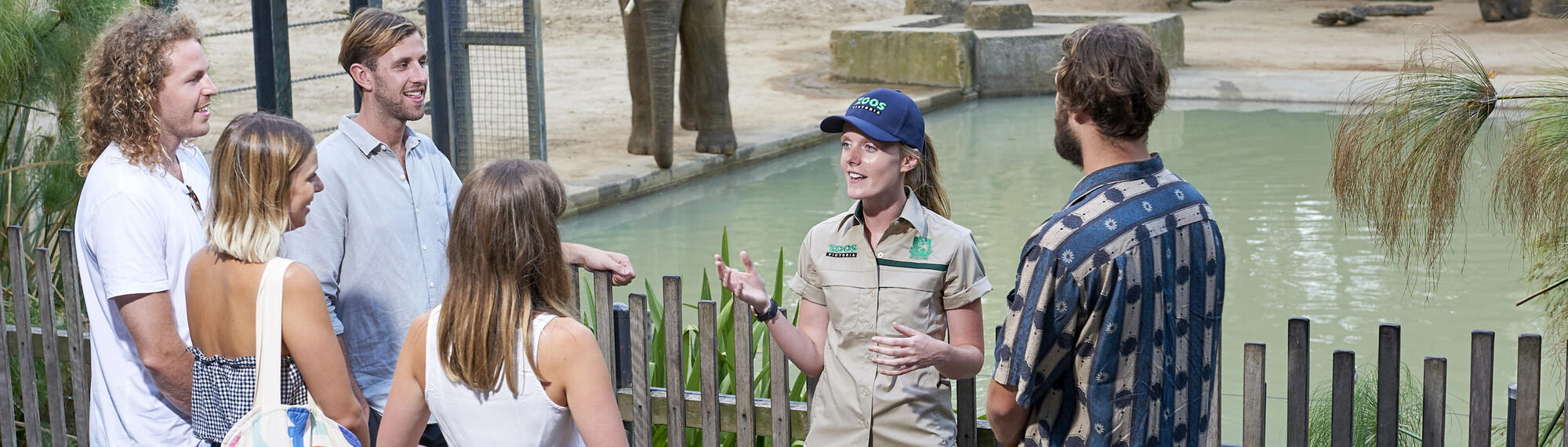 A zoo keeper stands in front of the elephant habitat speaking to a bunch for five young adults.
