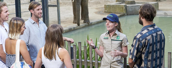 A Zoo Keeper stands in front of the (Old) Elephant habitat, speaking to a group of five young adults.