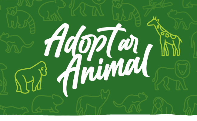 "Animal Adopters" - Adopt an animal, from one of nineteen on a green background, two of them highlighted in chartreuse green.