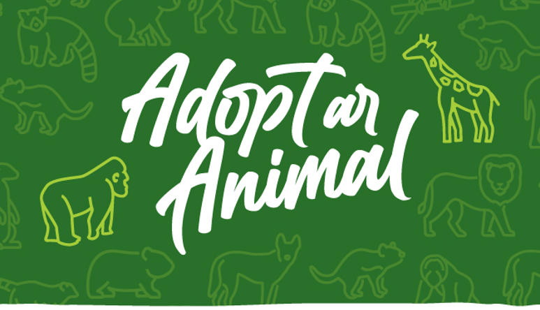 "Animal Adopters": Adopt an animal, from one of nineteen on a green background, two of them highlighted in chartreuse green.