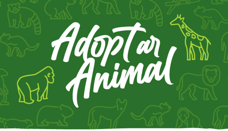 "Animal Adopters" - Adopt an animal, from one of nineteen on a green background, two of them highlighted in chartreuse green.