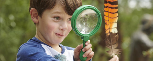 Kinder Kid Examines A Feather With A Magnifying Glass Healesville Sanctuary