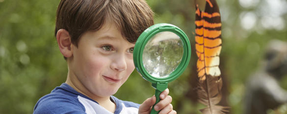 Kinder Keeper Kid examines a brown-and-orange feather with a green-framed magnifying glass.