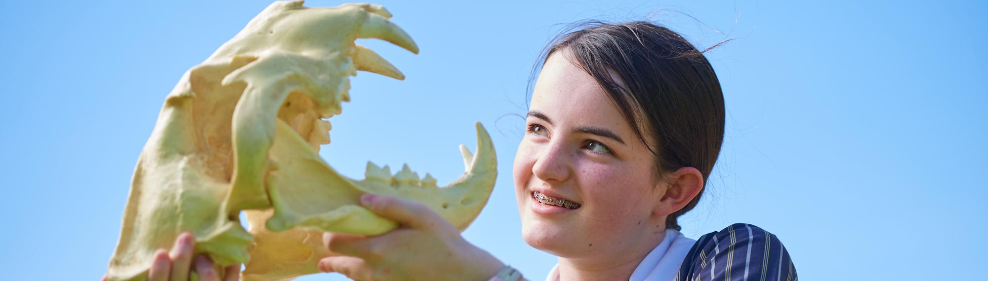 Student holds up a large mammal skull, as she peers at the open jaw.