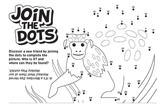 "Join the dots - Discover a new friend by joining the dots to complete the picture" - Spoiler alert, it's a Vervet Monkey.