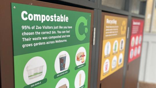 Row of three Zoo bins: green Compostable, yellow Recycling and red Landfill.