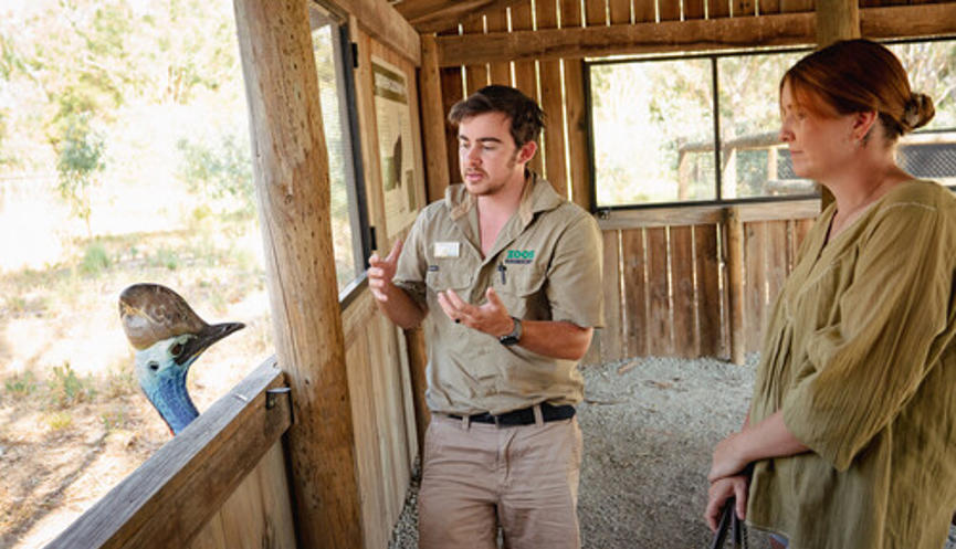 A visitor listening to keeper who is talking about Southern Cassowary