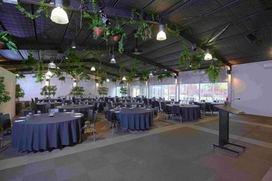 View of the Rainforest Room, prepped for a metting with hanging plants, lights, tables and chairs in circular "cabaret" formation.
