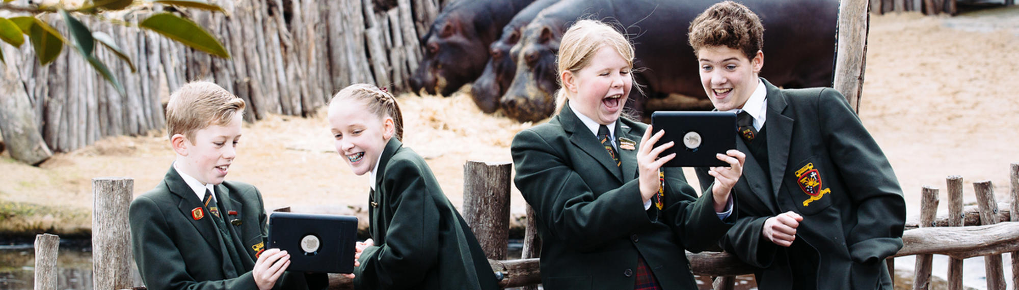 Four students with two tablets in front of three Hippopotamuses.