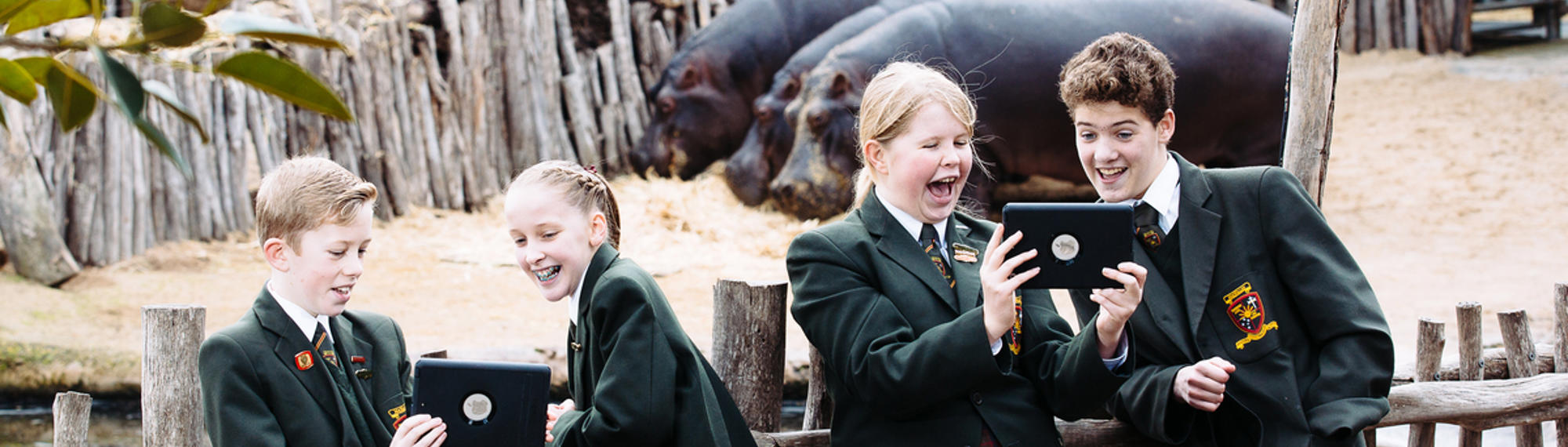 Four students with two tablets in front of three Hippopotamuses.