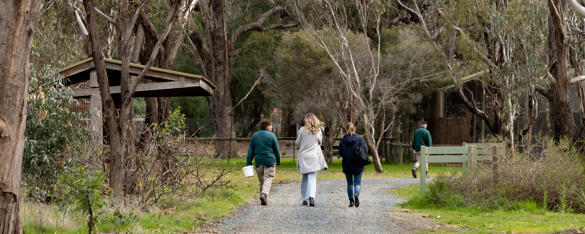 A rear view of two park staff in green jumpers and khaki pants walk down a tree-lined path alongside two other people in plain clothes.