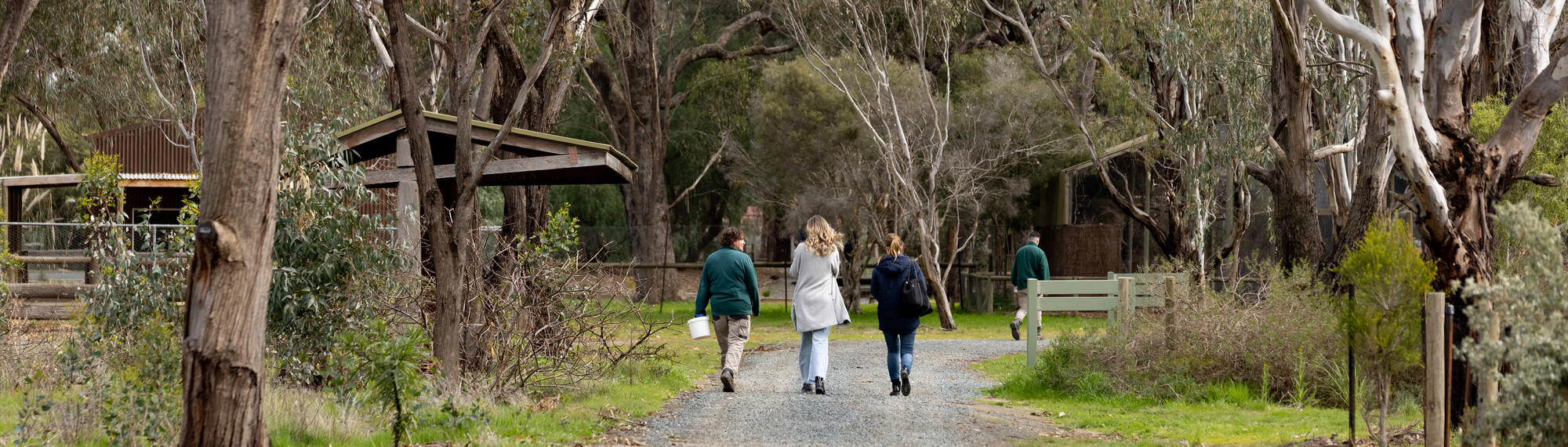 A rear view of two park staff in green jumpers and khaki pants walk down a tree-lined path alongside two other people in plain clothes.