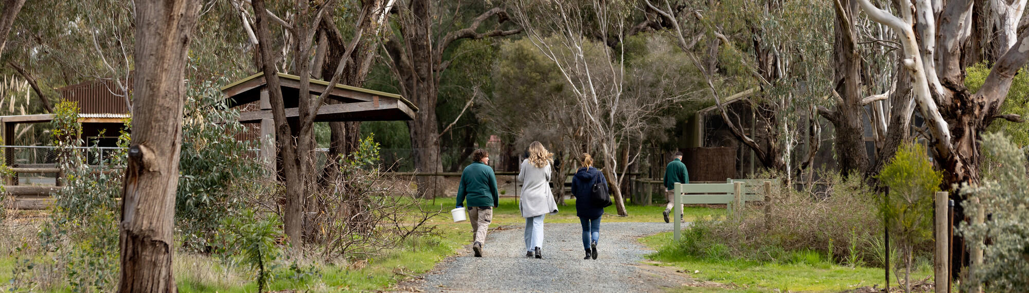 A rear view of two Park staff in green jumpers and khaki pants, walking down a tree-lined path alongside two other people in plain clothes.