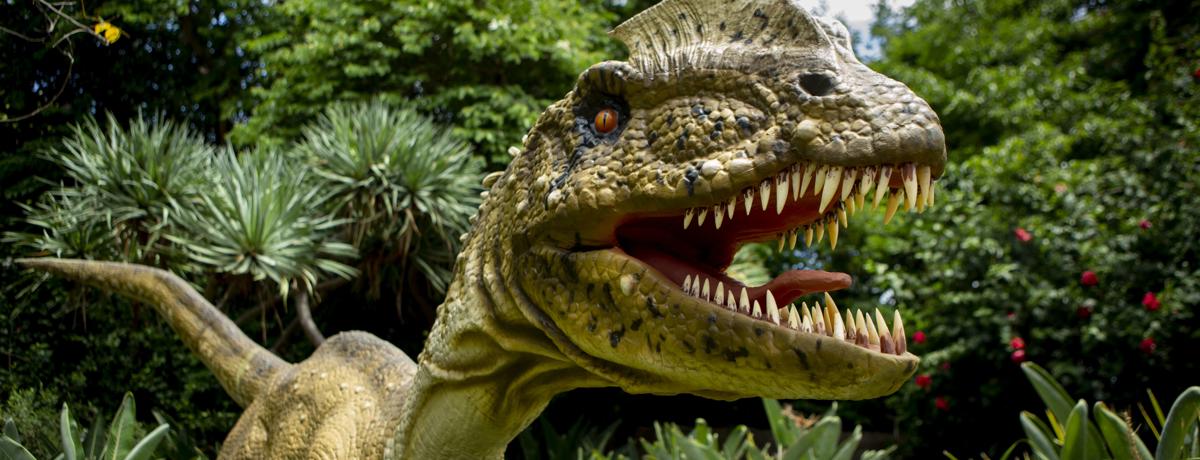 Close-up of a Carnotaurus, with mouth open, facing right against a forest backdrop.