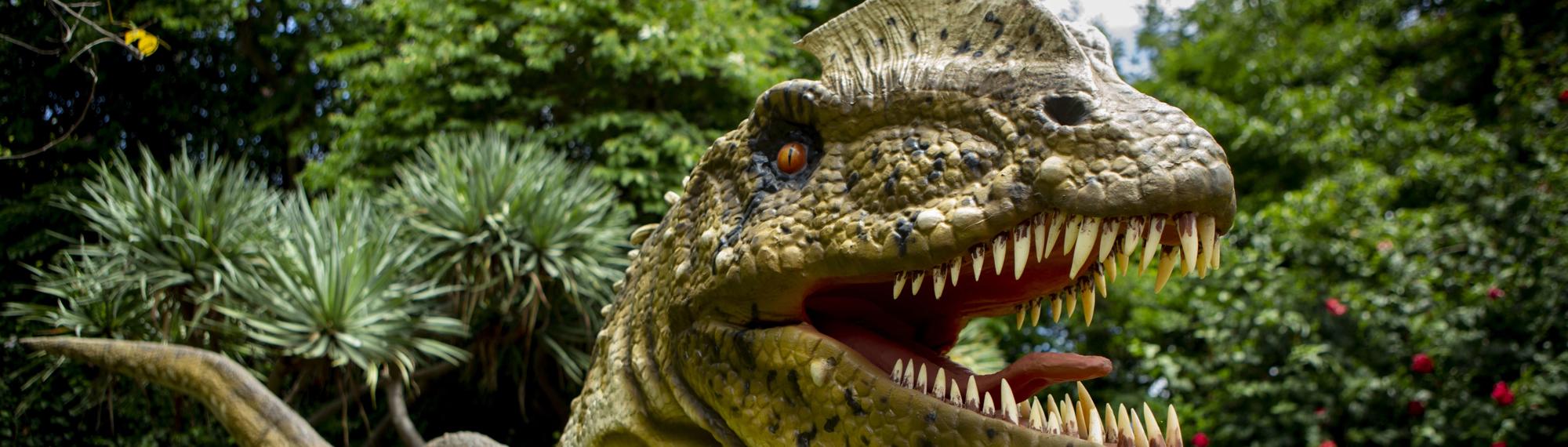 Close-up of a Carnotaurus, with mouth open, facing right against a forest backdrop.