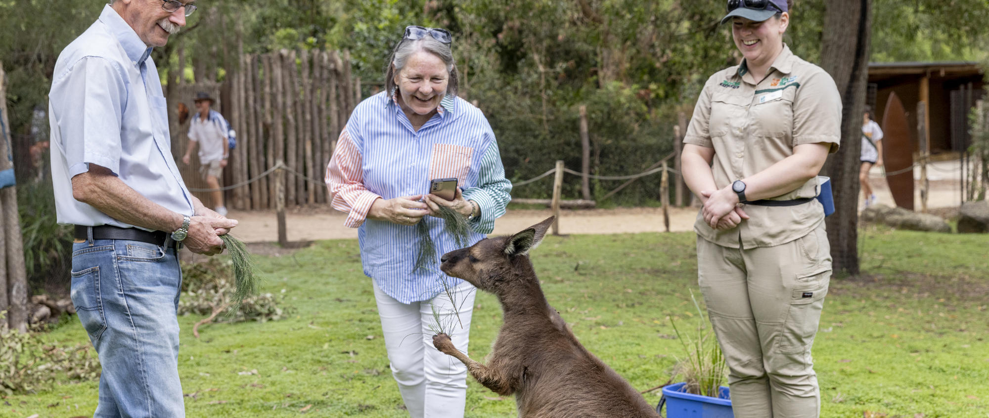 Two older visitors enjoying Kangaroo Experience, looking at kangaroo up-close with a keeper next to them