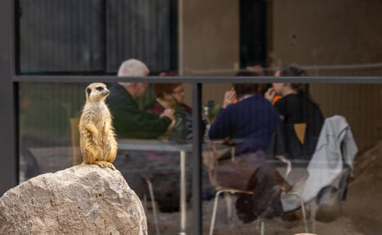 Kyabram Fauna Park Cafe