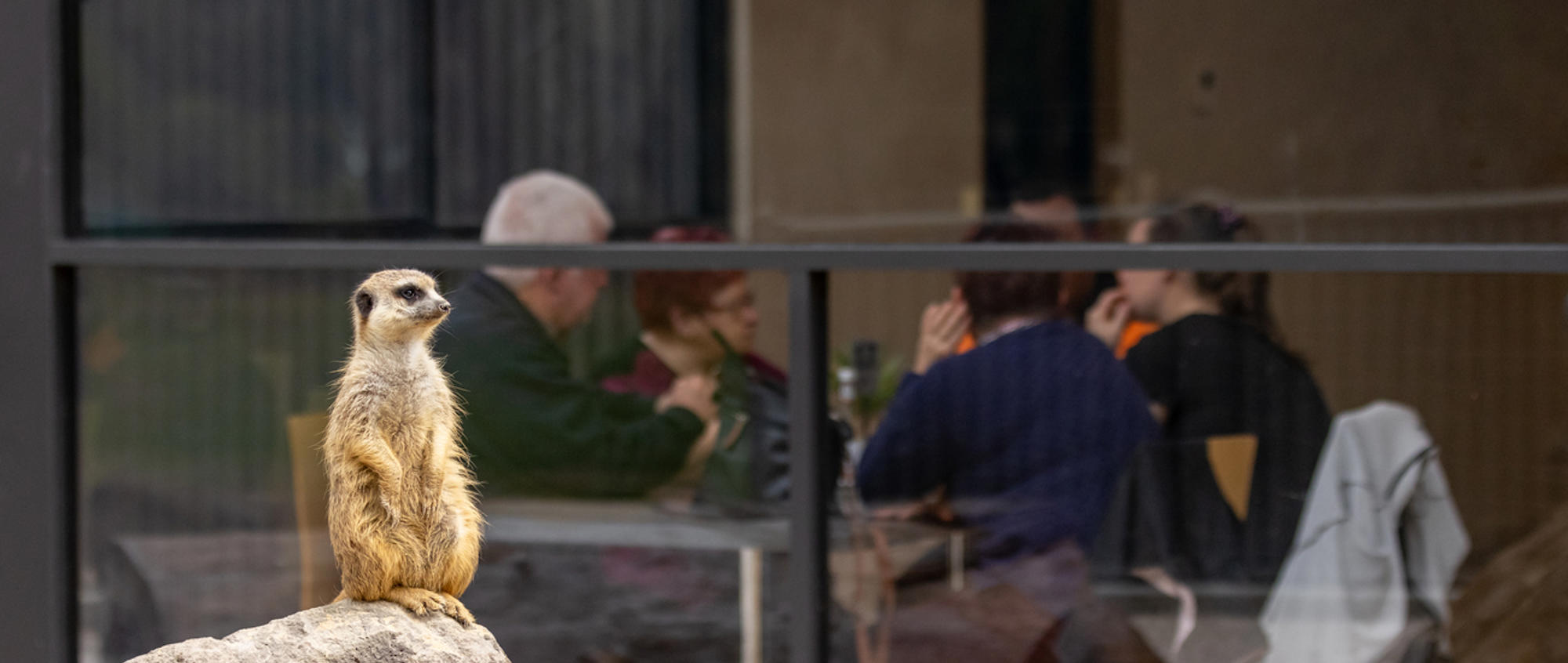 Kyabram Fauna Park Cafe