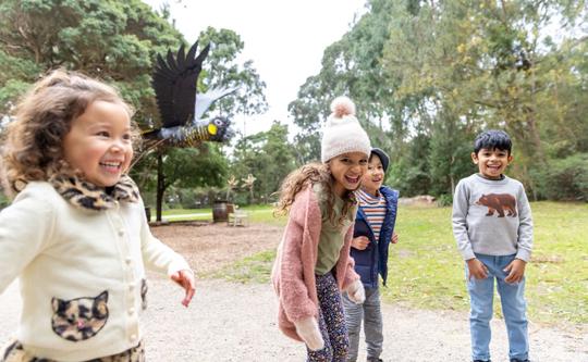 A group of four children playing at koala picnic lawns