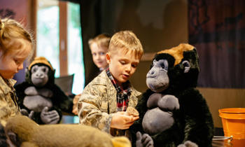 A young boy holds a toy stethoscope up to a plush toy gorilla