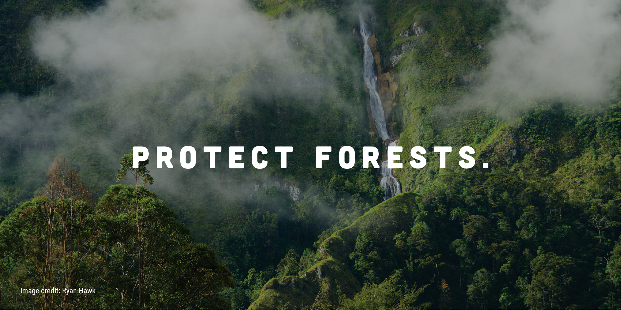 "Protect Forests": View of tropical rainforest behind the slogan, taken by Ryan Hawk.